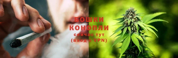 ПСИЛОЦИБИНОВЫЕ ГРИБЫ Абдулино
