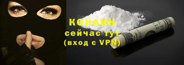 кокс Елизово