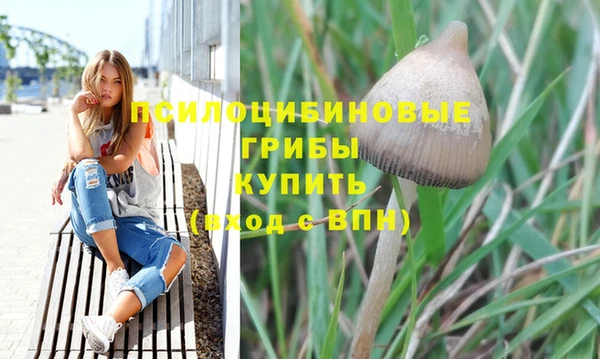 ПСИЛОЦИБИНОВЫЕ ГРИБЫ Абдулино